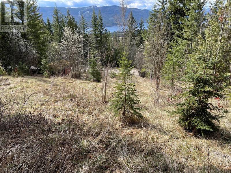 Lot 397 Aspen Road, Anglemont, BC V0E1M8