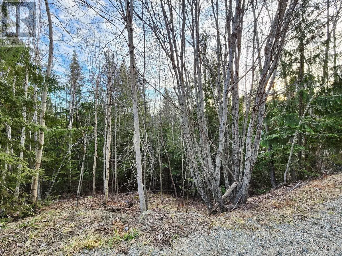 Anglemont, BC V0E1M8,Lot 240 Aspen Road