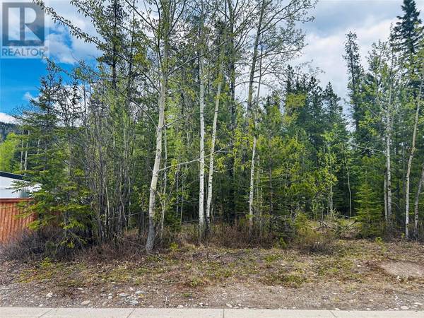 8 WOLVERINE Place, Tumbler Ridge, BC V0C2W0