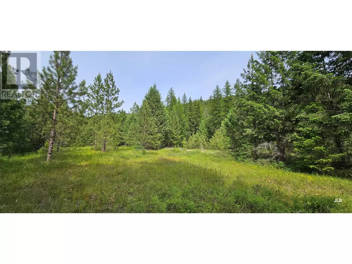 Rock Creek, BC V0H1Y0,DL164s Kettle River Road E Lot# Lot 1