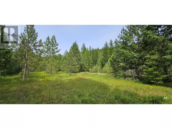 DL164s Kettle River Road E Lot# Lot 1, Rock Creek, BC V0H1Y0