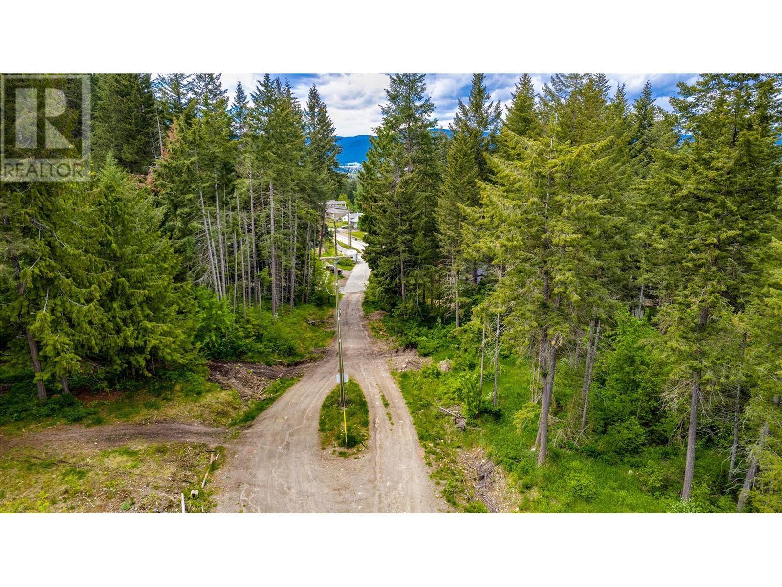 Spallumcheen, BC V0E1B8,3294 (3297) Upper McLeod Road Lot# 3297