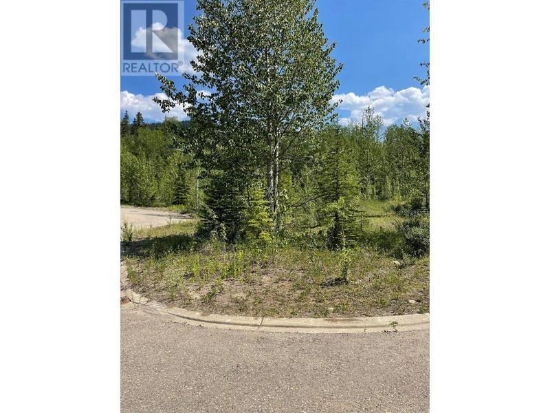 36 WAPITI Place, Tumbler Ridge, BC V0C2W0