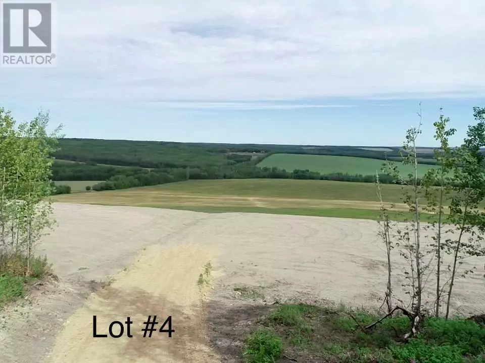 Dawson Creek, BC V1G4H9,Lot 4 206 Road