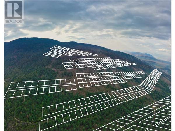 0 Head Road, Spallumcheen, BC V0E1B7