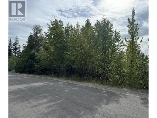 Anglemont, BC V0E1M8,Lot 389 Anglemont Way