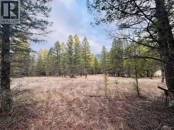 Radium Hot Springs, BC V0A1M0,4915 SADDLEWOOD Lane