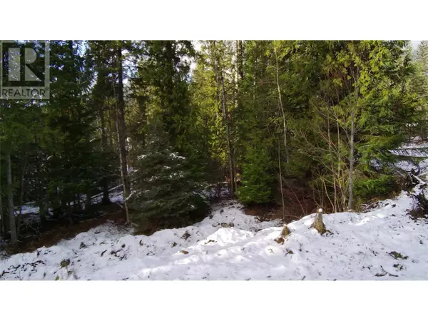 Crawford Bay, BC V0B1E0,LOT 41 # Selkirk road Road