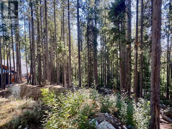 Mount Baldy, BC V0H1T8,290 COUGAR Road