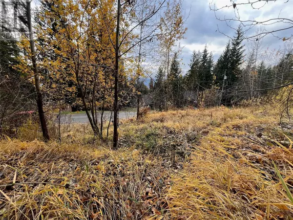 Anglemont, BC V0E1M8,Lot 150 Anglemont Drive Lot# 150
