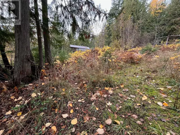 Anglemont, BC V0E1M8,Lot 150 Anglemont Drive