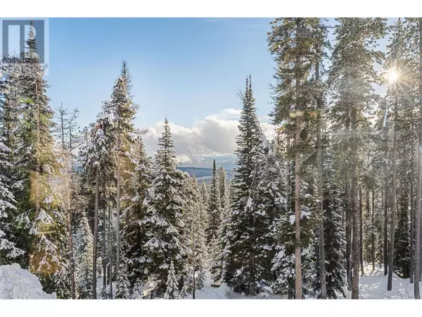 Big White, BC V1P1P3,225 Kettle View RD #211