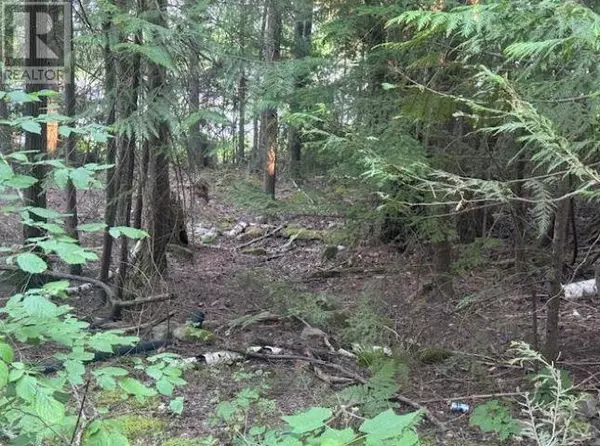 St. Ives, BC V0E1M9,Lot 71 Squilax-Anglemont Road