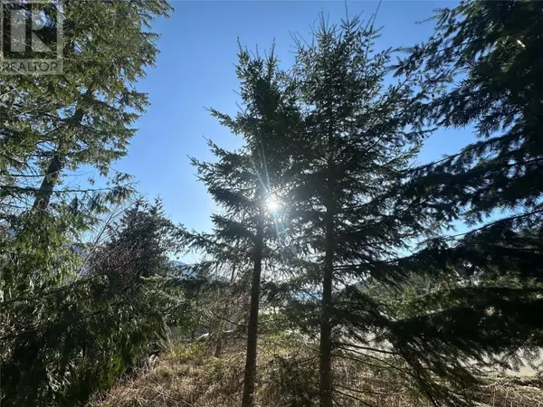 Nelson, BC V1L5P3,6812 GRANDVIEW Drive