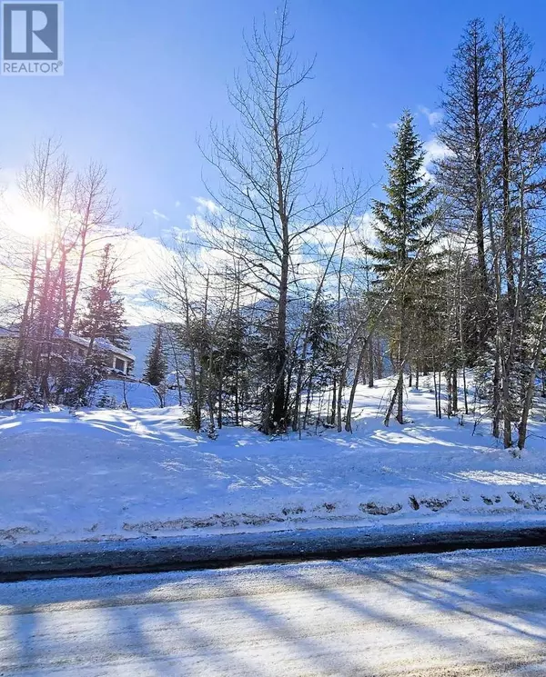 51 CARIBOO Drive, Elkford, BC V0B1H0