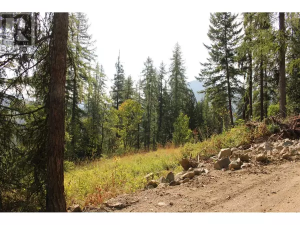 Rossland, BC V0G1Y0,2640 3B Highway