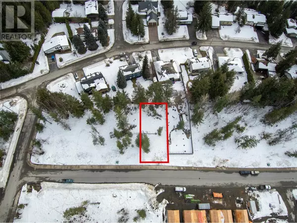 Revelstoke, BC V0E2S1,1037 Williams Gate Lane