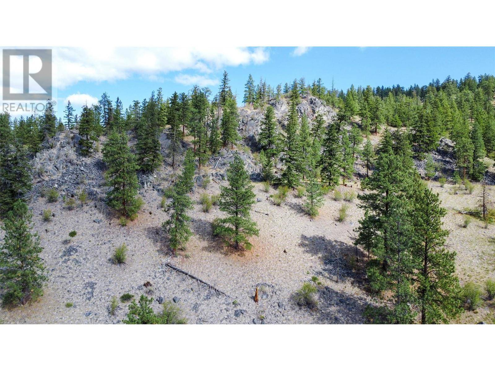 Summerland, BC V0H1Z8,Lot 2-8208 PRINCETON SUMMERLAND Road
