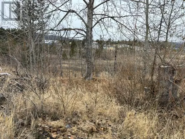 Logan Lake, BC V0K1W0,133 Birch Crescent