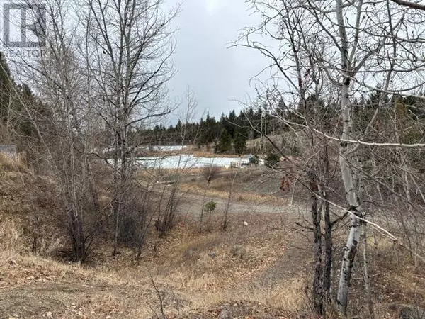 Logan Lake, BC V0K1W0,133 Birch Crescent