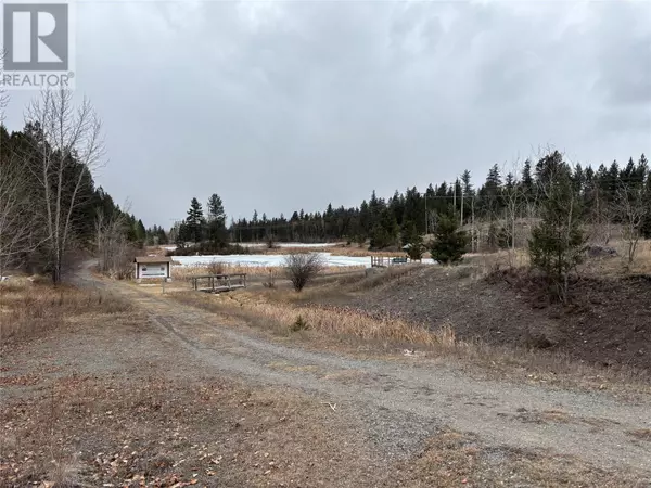 Logan Lake, BC V0K1W0,133 Birch Crescent