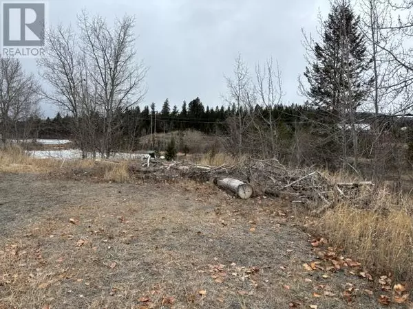 Logan Lake, BC V0K1W0,133 Birch Crescent