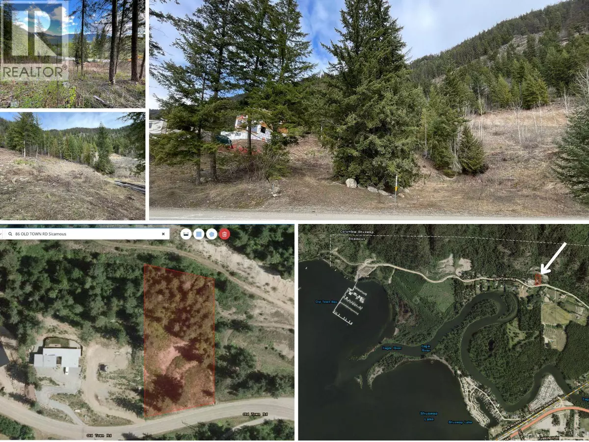Sicamous, BC V0E2V4,86 Old Town Road