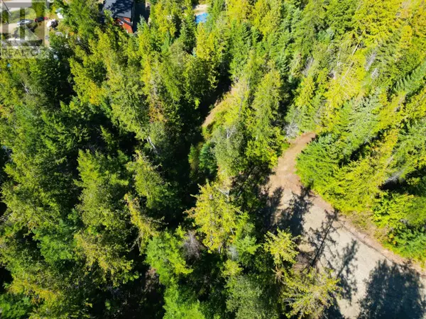 Procter, BC V1L6R7,434 LEXINGTON Avenue