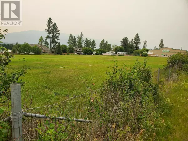 8959 ARBUCKLE Street, Canal Flats, BC V0B1B0