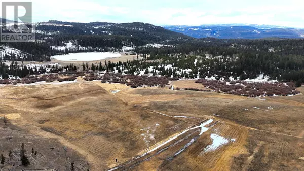 Logan Lake, BC V0K1W0,80 Acres Old Meadow Creek Road