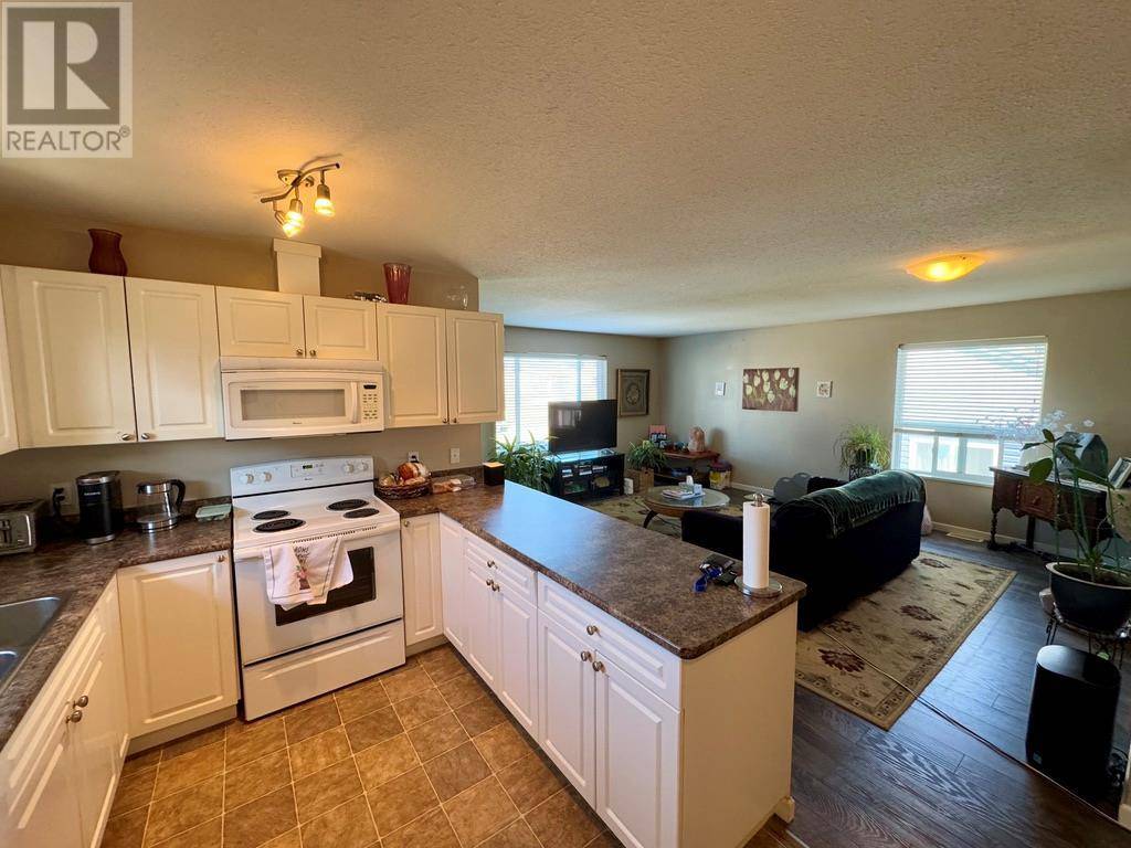 Dawson Creek, BC V1G2A4,1323/1325 101 Avenue