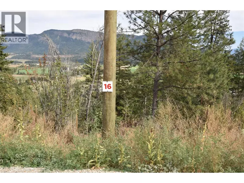 243 Crooked Pine Road, Enderby, BC V0E1V1