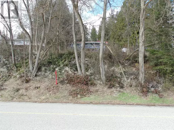 Castlegar, BC V1N1M4,LOT B 9th Avenue
