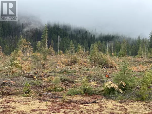 Winlaw, BC V0G2J0,Lot C Lancaster Road