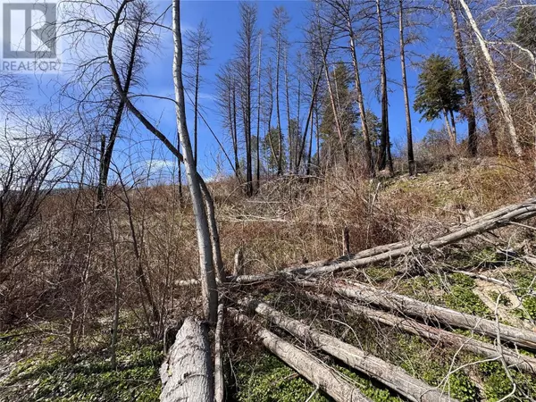 Vernon, BC V1H2G4,Lot 25 Hodges Road