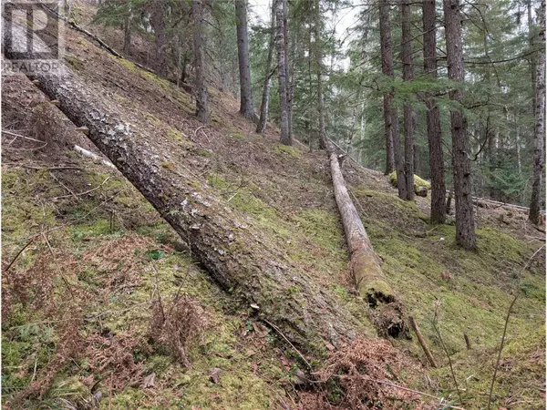 Seymour Arm, BC V0E2V2,Lot 3 Ollanson Road Lot# 3