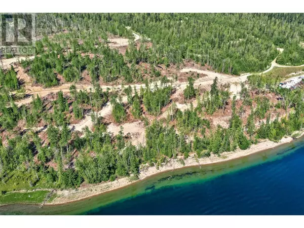 Adams Lake, BC V0E2E0,5600 ADAMS WEST FS RD #LOT 9