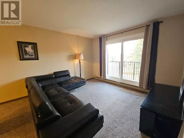 Tumbler Ridge, BC V0C2W0,340 Northgate Other #302