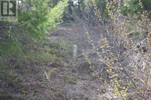 Gold Bridge, BC V0K1P0,55 Lakeview Lot A DL 5637 Lakeview Rd Road S