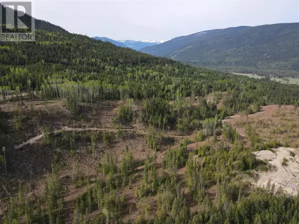 Slocan, BC V0G2C0,7928 Lemon Creek Road