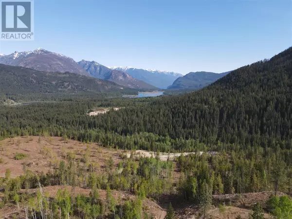 7928 Lemon Creek Road, Slocan, BC V0G2C0