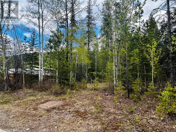 Tumbler Ridge, BC V0C2W0,8 Wolverine Place