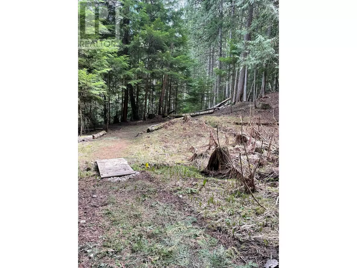 Winlaw, BC V0G1M0,4144 Passmore Upper Road