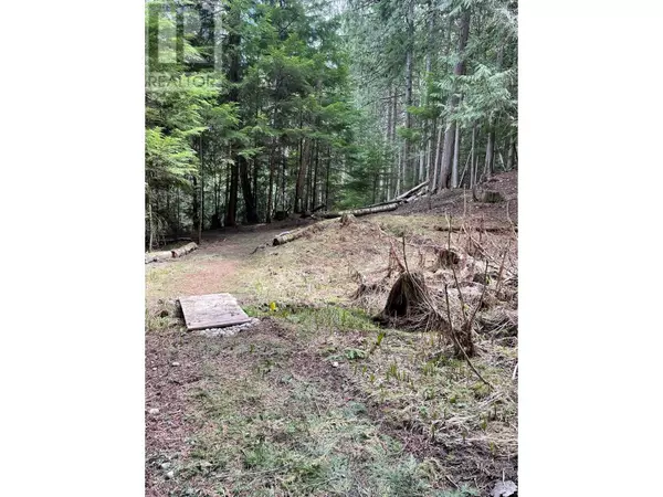 4144 Passmore Upper Road, Winlaw, BC V0G1M0