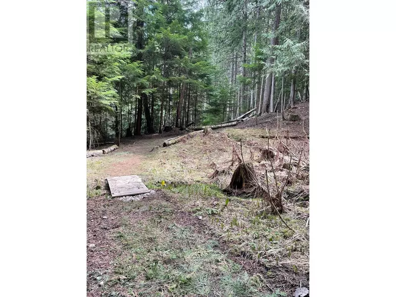 4144 Passmore Upper Road, Winlaw, BC V0G1M0
