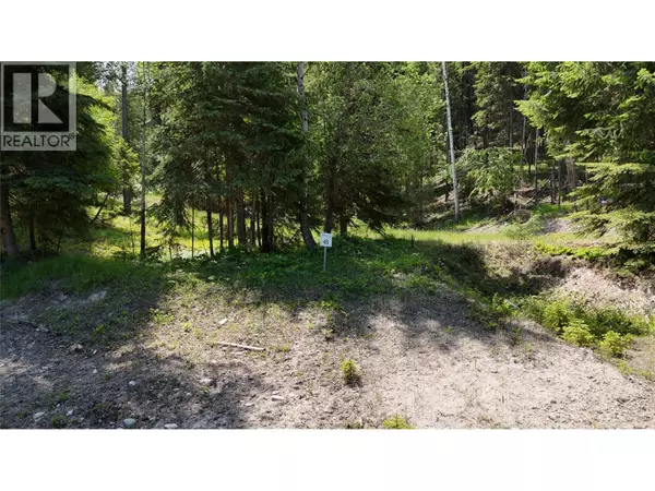 Wardner, BC V0B2J0,SL45 OSPREY LANDING Drive