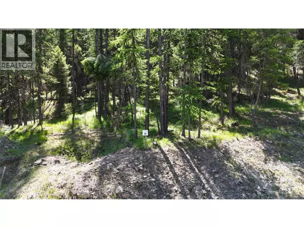 Wardner, BC V0B2J0,SL 56 Osprey Landing View