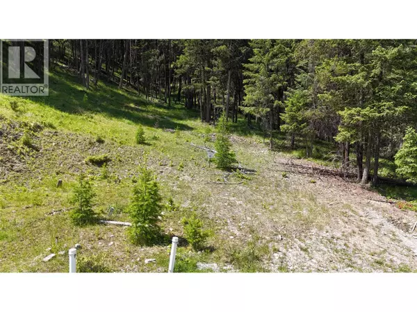 Wardner, BC V0B2J0,SL 61 OSPREY Landing  VIEW