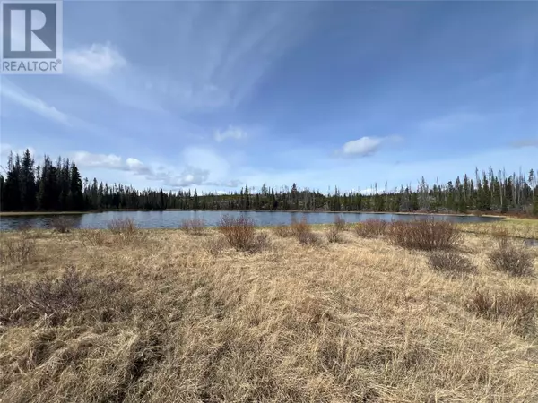 Logan Lake, BC V0N1N0,Lot 5961 Dominic Lake Road