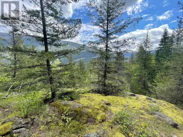 Lot 1 LANGILL Road, Krestova, BC V0G1H0
